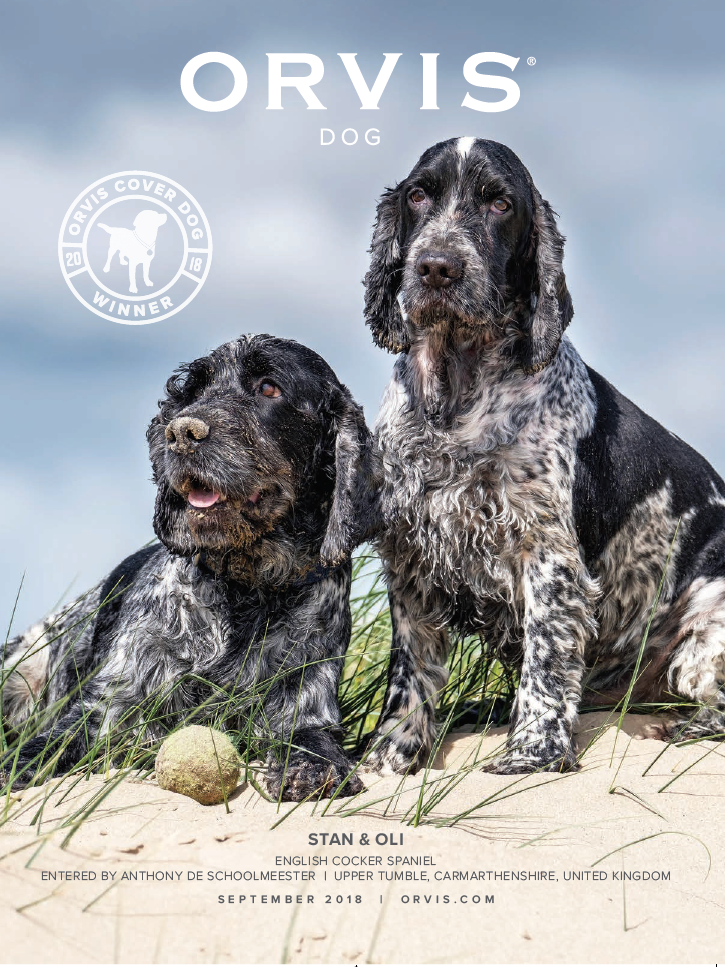 Winner 22 Orvis Cover Dog