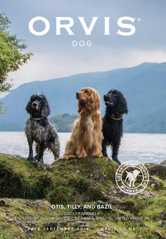 Winner 21 Orvis Cover Dog