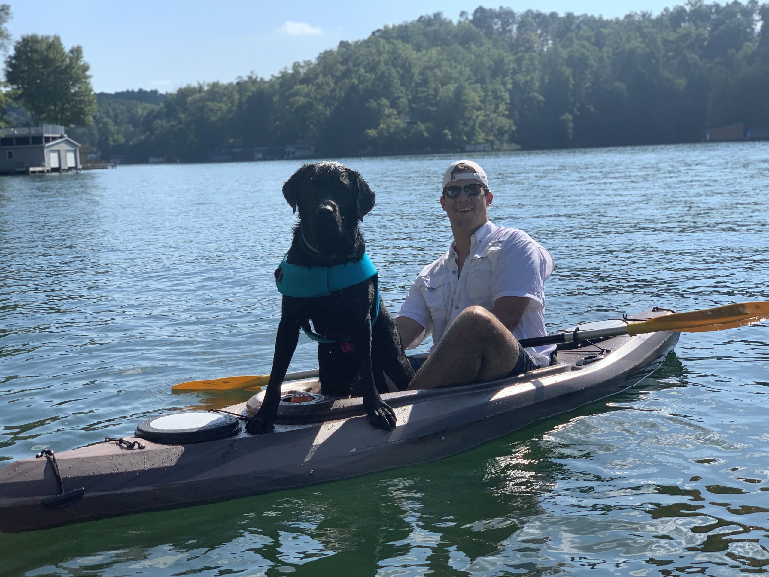 Brunson Orvis Cover Dog