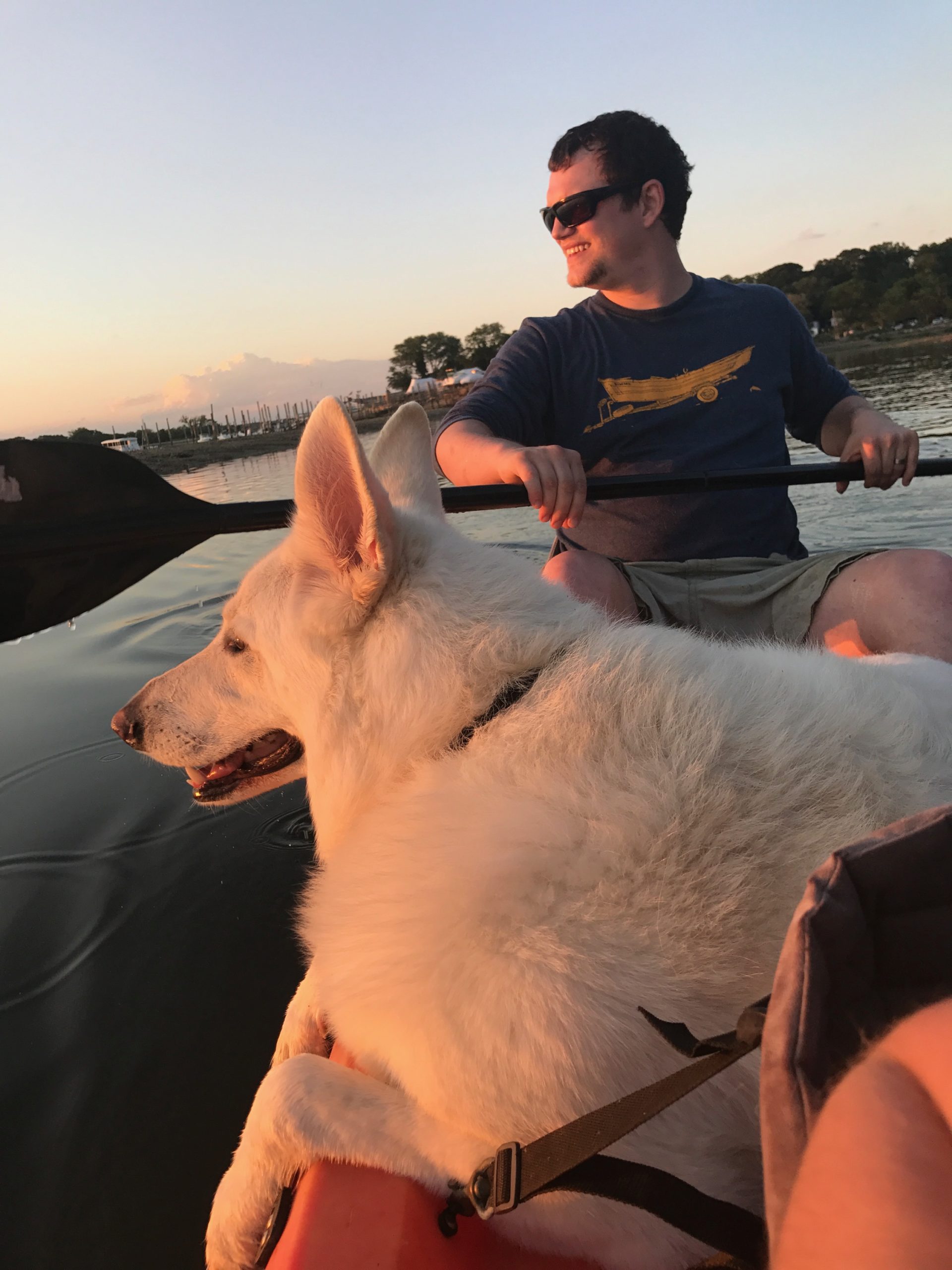 Gatsby Orvis Cover Dog