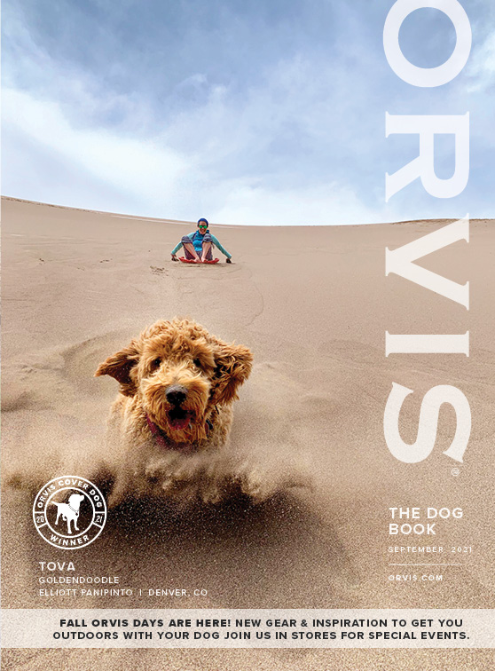 2021 Tova Orvis Cover Dog