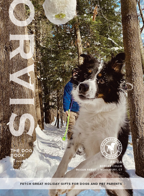 2021 Frida Orvis Cover Dog