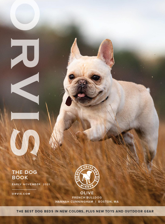 2021 Olive Orvis Cover Dog